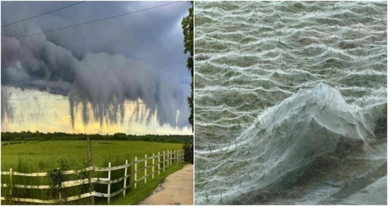 25 puta kad su ljudi primijetili zastrašujuće i fascinantne prizore za koje je zaslužna priroda