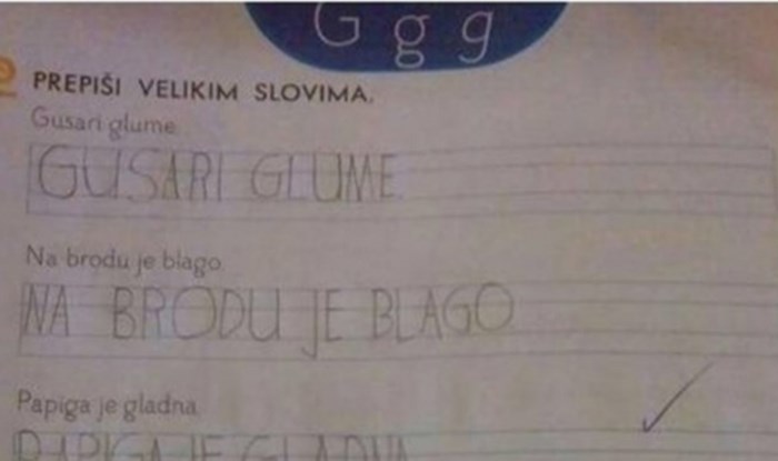 Dijete je imalo simpatično rješenje zadatka, ali ga učiteljica nije priznala