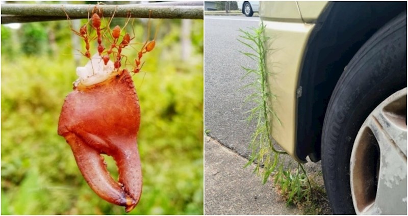 19 ljudi uočili su nesvakidašnje prizore koji su ih iznenadili i morali ih odmah svima pokazati
