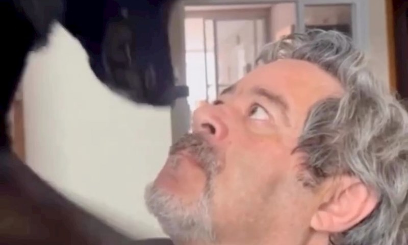 Tip je zalajao na svog psa, snimka je odmah postala hit zbog njegove urnebesne reakcije