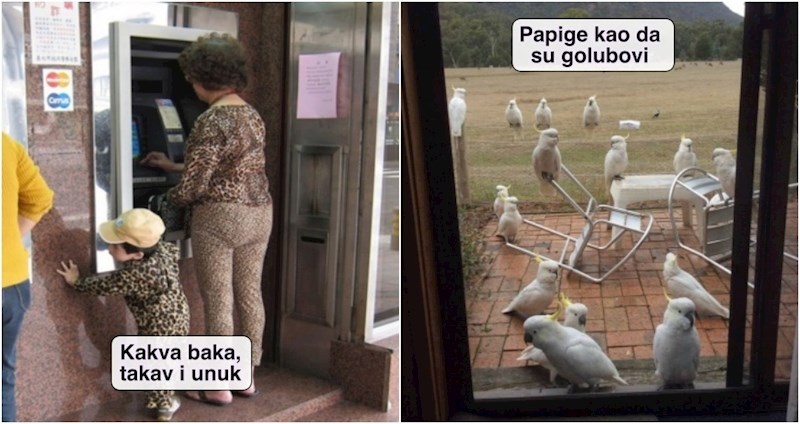 16 ljudi podijelili su fotke čudnih scena koje su ih totalno zapanjile