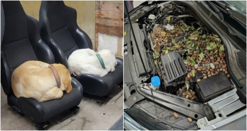 Automehaničari su vidjeli svašta, ali ovih 25 prizora teško je zaboraviti