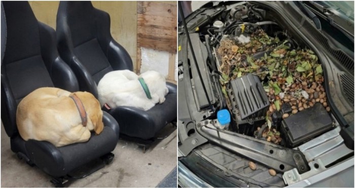 Automehaničari su vidjeli svašta, ali ovih 25 prizora teško je zaboraviti