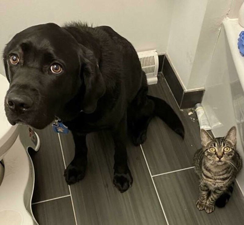 15. Nešto je skrivio samo još ne znamo što