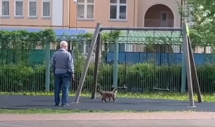 Žena je snimila kako se njezin tata i njegova mačka zabavljaju, hit video odmah je obišao svijet