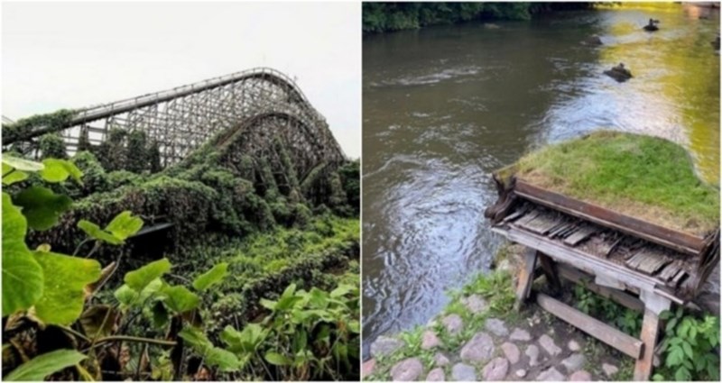 15 moćnih fotografija koje dokazuju da priroda na kraju uvijek pobijedi čovjeka