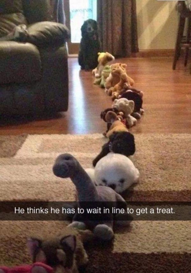 16.