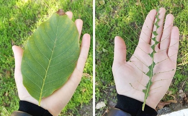 Pokušavaj pretvaranja lista u "kostur"