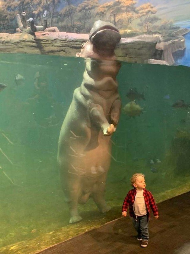 1.