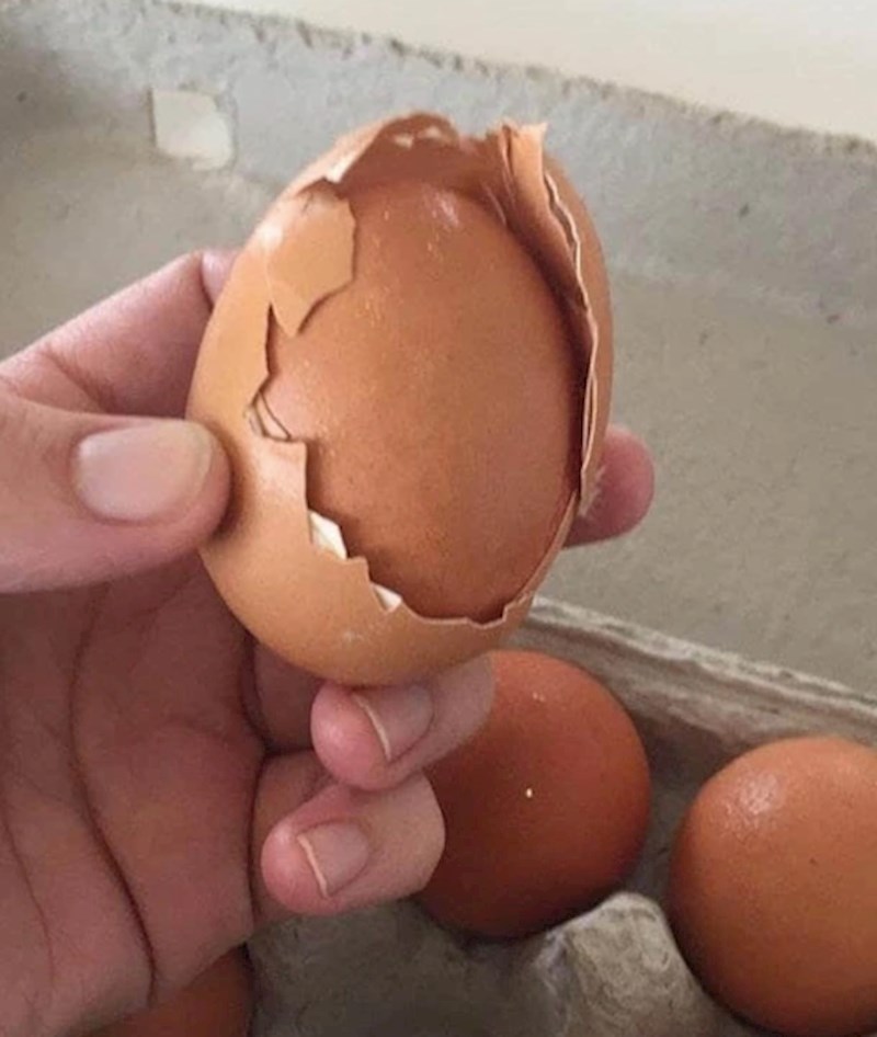 13. Baš peh - umjesto jaja s duplim žumanjkom dobio je jaje s duplom ljuskom