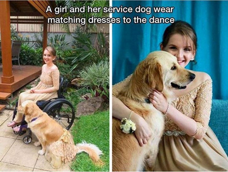 4. Cura i njezin terapijski pas idu na maturalnu