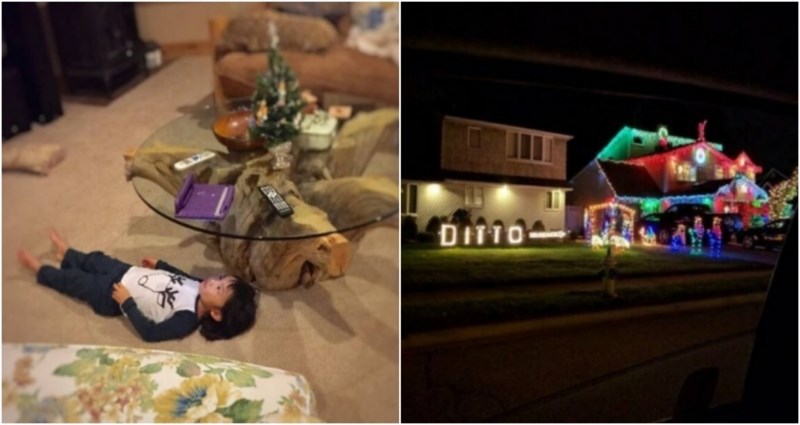 17 lijenčina koji su nas nasmijali svojim čudnim, ali praktičnim rješenjima