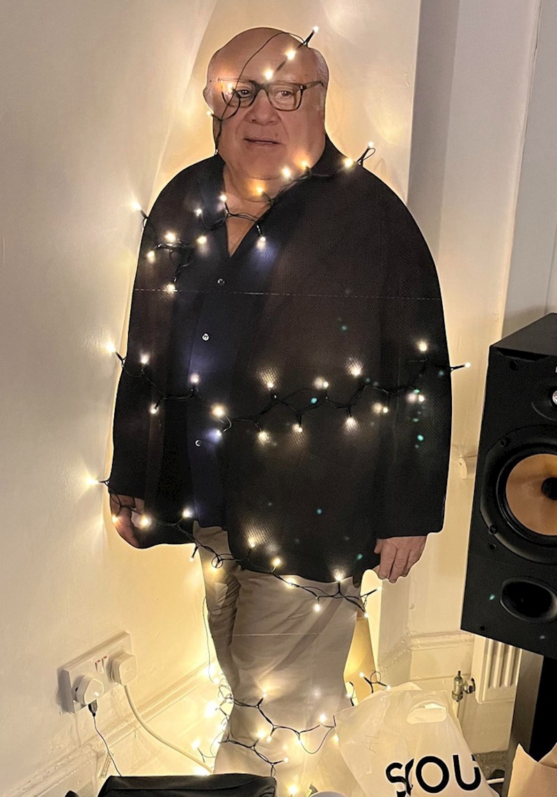 3. Kartonski Danny DeVito poslužio je umjesto bora