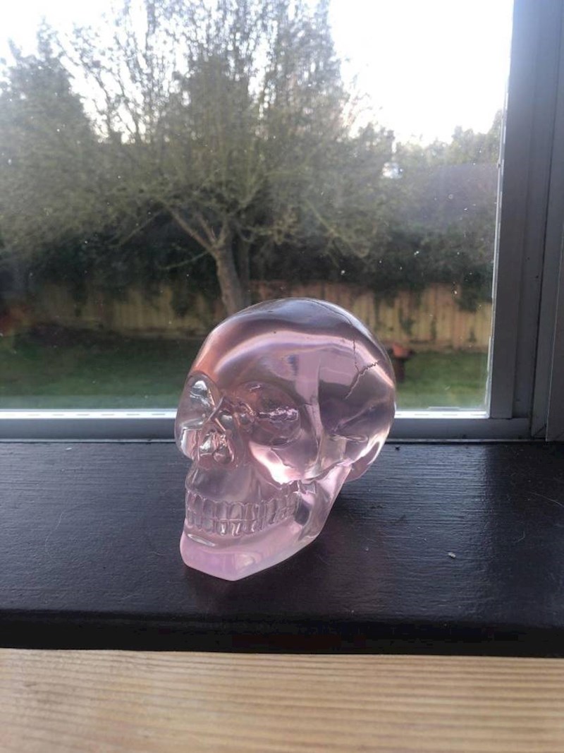 15. Ova dizajnerska lubanja bila je prozirna, ali godinama stoji na suncu pa je postala ružičasta