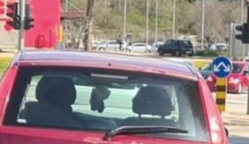 Vozačica je na auto zalijepila poruku koja je mnoge nasmijala, ali i zabrinula. Fotka je hit!