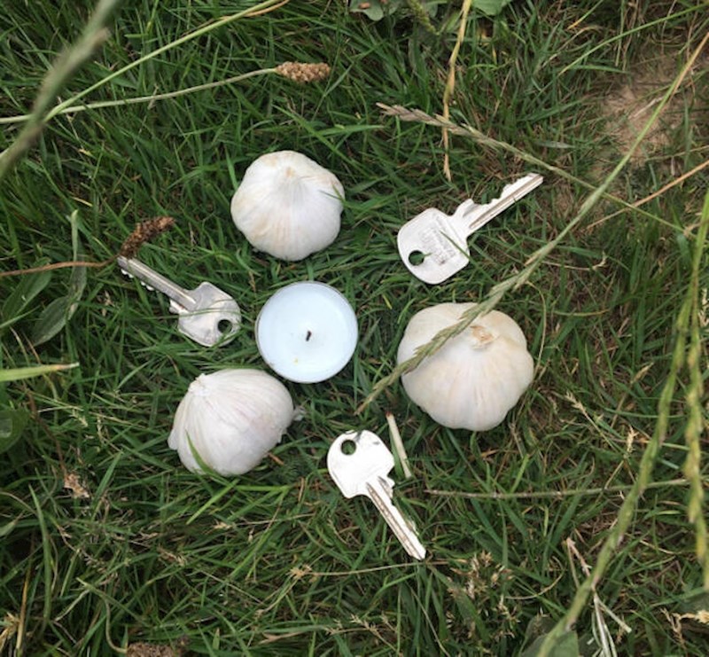 15. Pronašao sam ovo u šumi