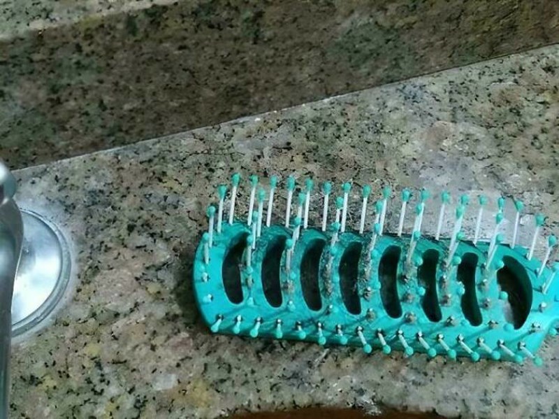 15. Pronađite guštera