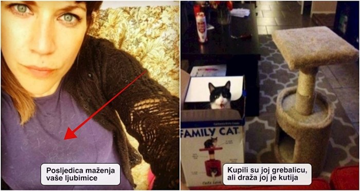 20+ smiješnih fotki koje će razumjeti samo vlasnici mačaka