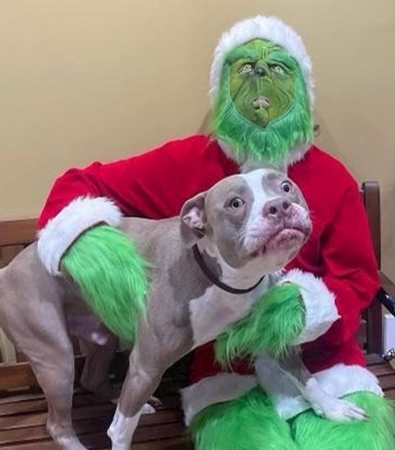 14. Psu je sve ovo pomalo čudno