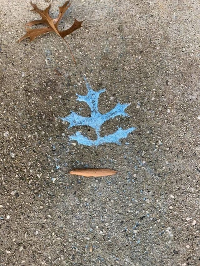 12. Kiša je sinoć izbrisala sve što su moja djeca kredom nacrtala po betonu. Ostao je samo dio koji je bio prekriven listom.