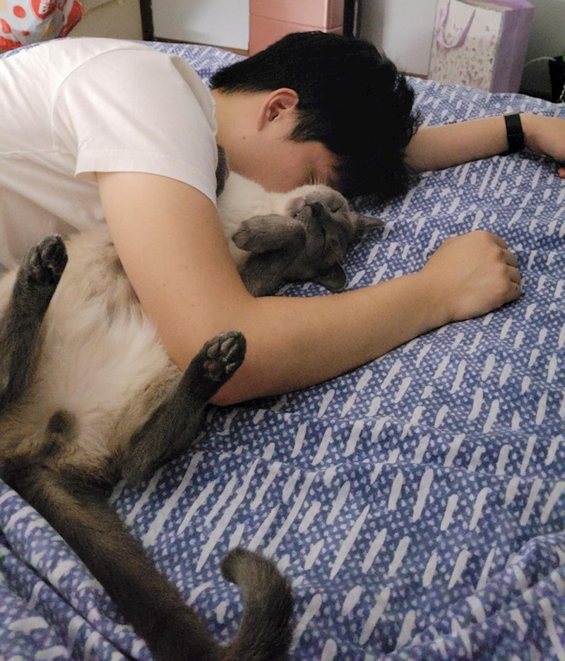 8. "Tvrdio je da ne voli mačke."