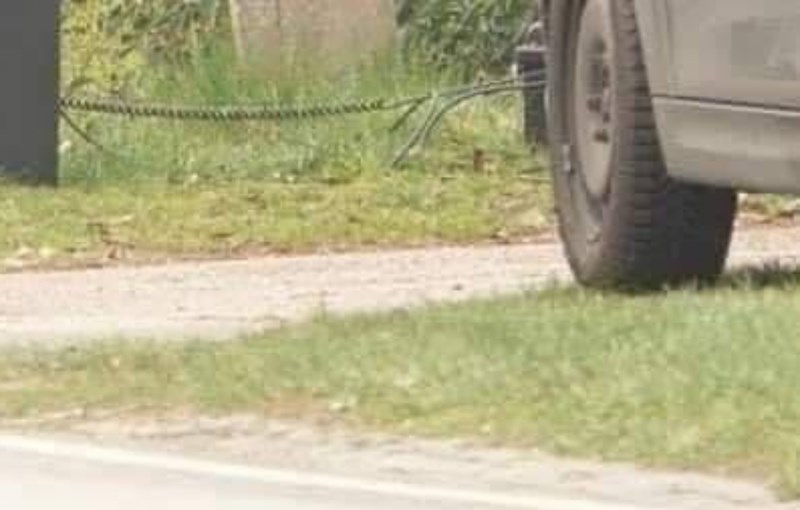 Fotka kamere za nadzor brzine negdje u Bugarskoj do suza je nasmijala ekipu na FB, morate vidjeti