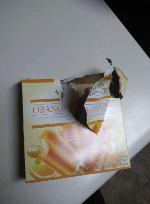 1. Moj muž je očito u svađi s kutijama, ili sa samim sobom