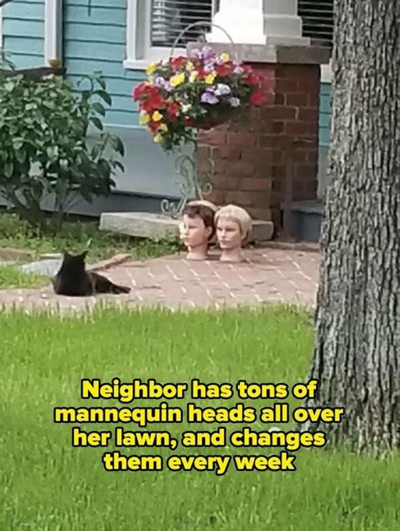 2. Moj susjed ima brdo glava lutaka posvuda na svom travnjaku. I svaki ih tjedan mijenja.