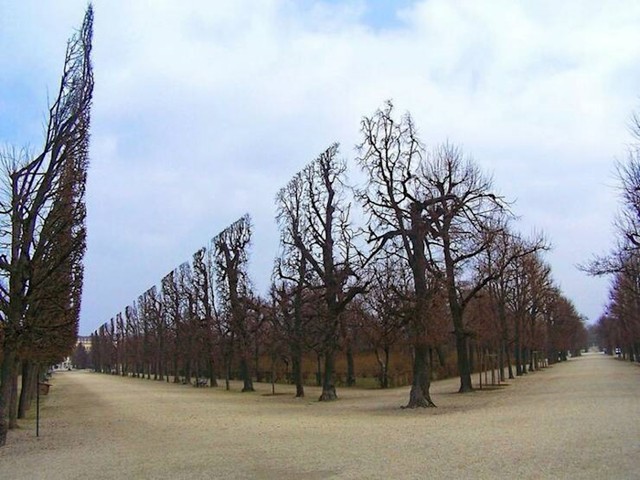 13.