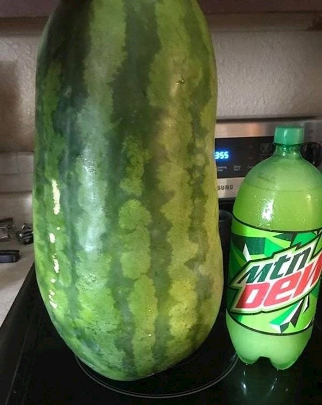 5.