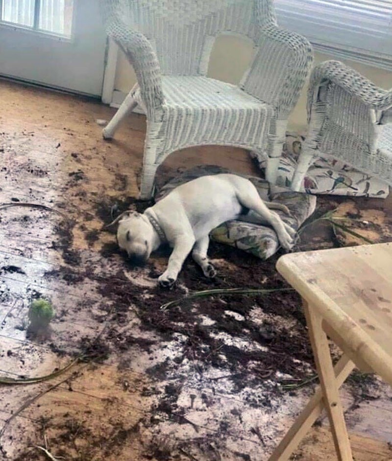 7. Izigrava žrtvu na mjestu zločina