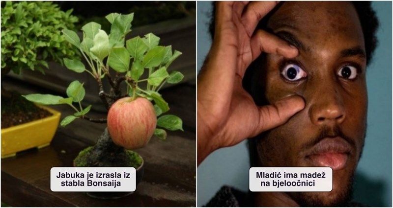 20+ ekstremno rijetkih prizora koje većina ljudi nikad u životu ne vidi