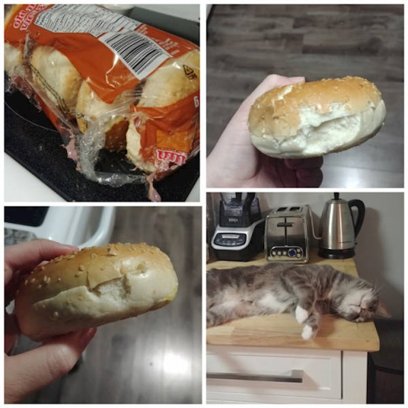 2. Vlasnici joj nisu ostavili hranu pa si je otvorila peciva