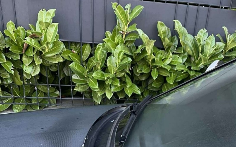 Bizaran detalj na nečijem autu privukao je znatiželjne poglede prolaznika, odmah ćete vidjeti zašto