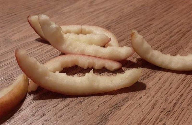 14. Moj sin uvijek ostavi koricu jabuke