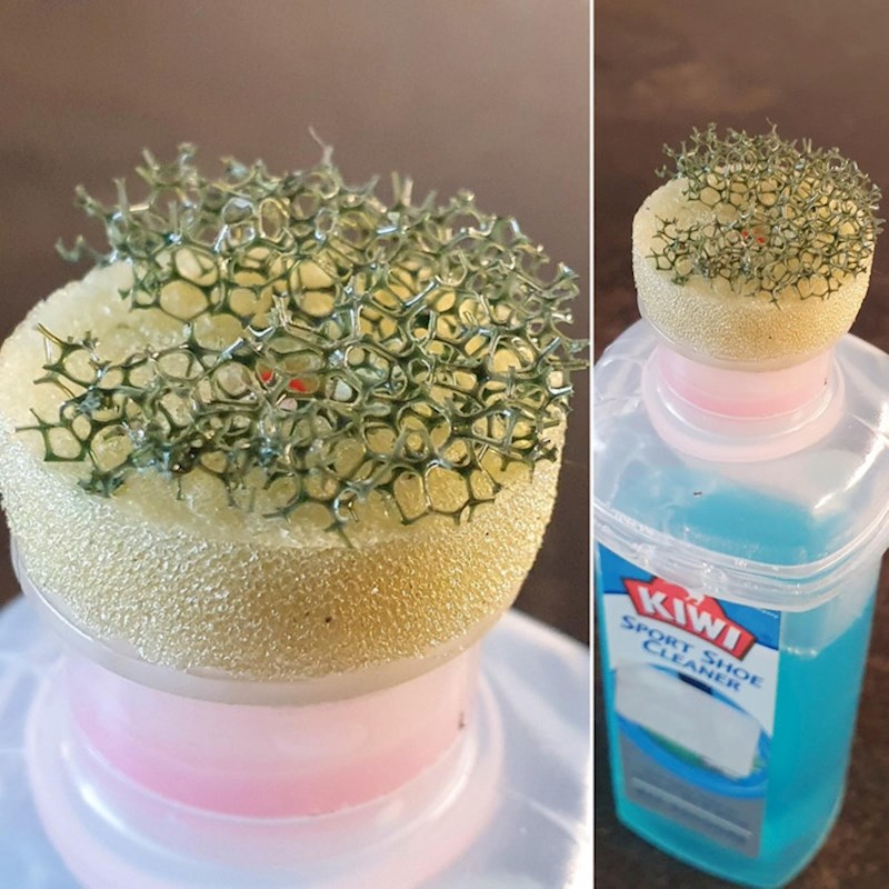 5. Nešto čudno je izraslo na tekućini za čišćenje cipela