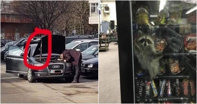 17 prizora u koja ne biste povjerovali da nema ovih fotki