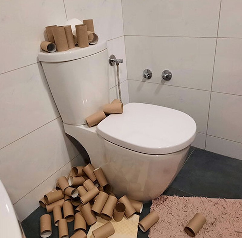 15. Nije me bilo u stanu tjedan dana. Kad sam se vratila ovo me dočekalo u kupaoni. Moj cimer apsolutno nikad ne miče potrošene role wc-papira!!
