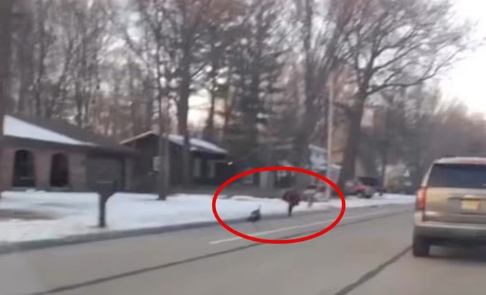 Tip iz SAD-a snimio je totalno bizarnu potjeru na nogostupu, snimka je odmah postala viralni hit