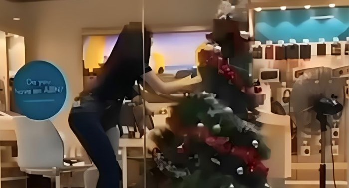 Netko je snimio urnebesne muke koje je ova radnica doživjela s božićnom jelkom, video je hit