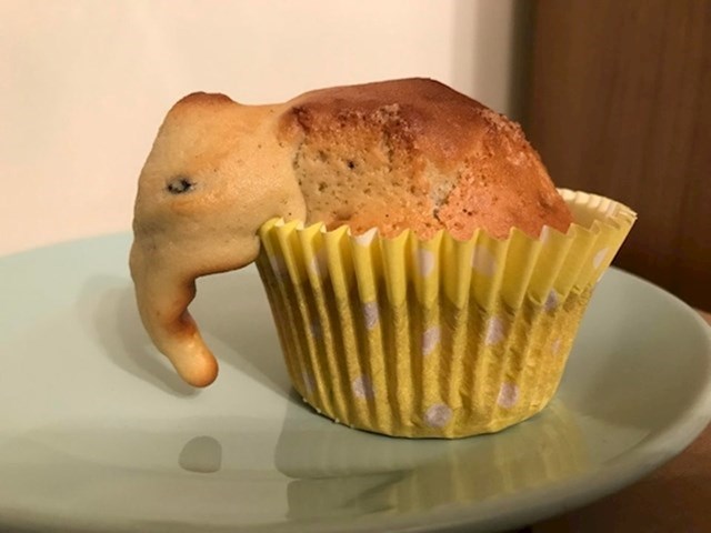 "Ovaj muffin je izgledao normalno kad sam ga stavila u pećnicu. Na kraju je izgledao kao slon."