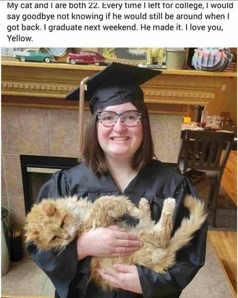 3. Moja mačka i ja obje imamo 22 godine. Svaki put kad bih otišla na fakultet, pozdravila bih se s njom ne znajući hoće li me dočekati kad se vratim. Žuta je uspjela, diplomirala sam!