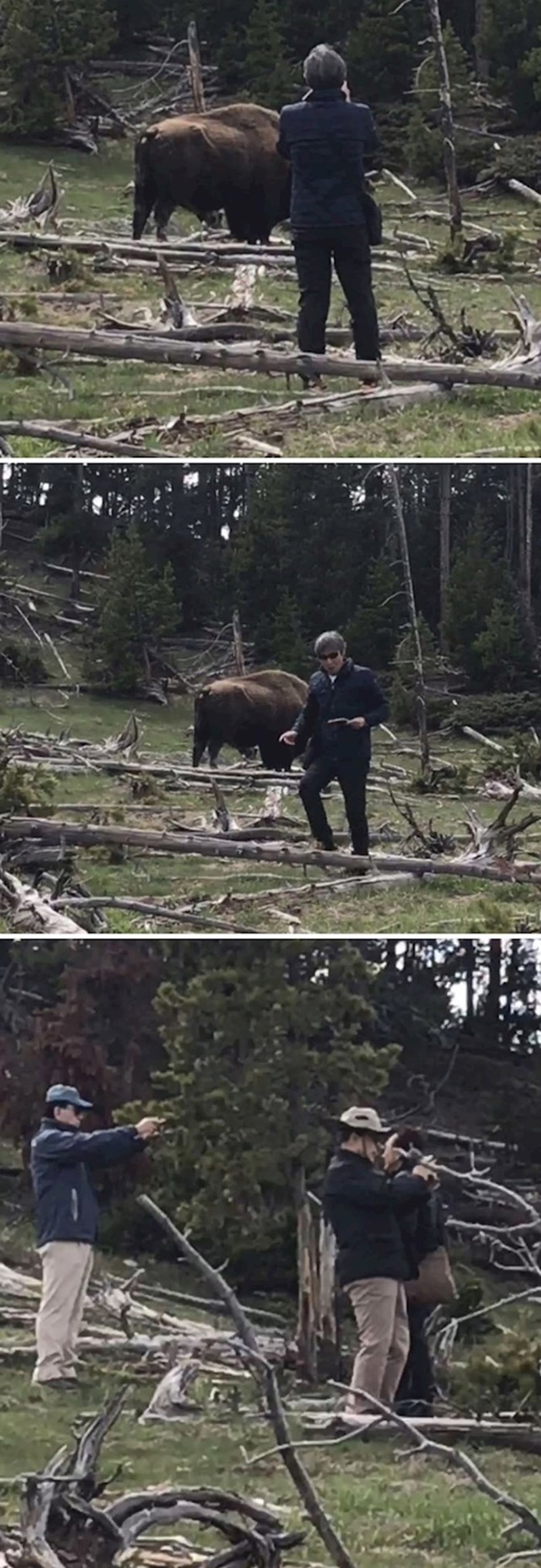 Turisti rade neopisivo glupe stvari u Nacionalnom parku Yellowstone