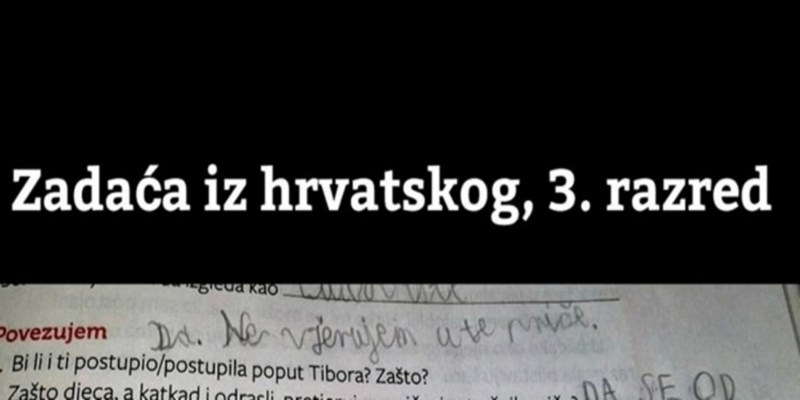 Dijete je odgovorom u zadaći nasmijalo cijelu Hrvatsku, prasnut ćete u smijeh kad vidite fotku