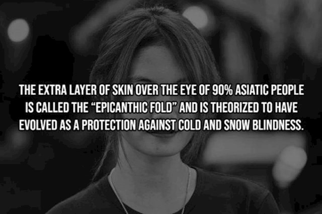 2. Dodatan sloj kože iznad očiju 90% Azijata zove se epikantički nabor. Najvjerojatnije se razvio kako bi štitio ljude od hladnoće i snijega.