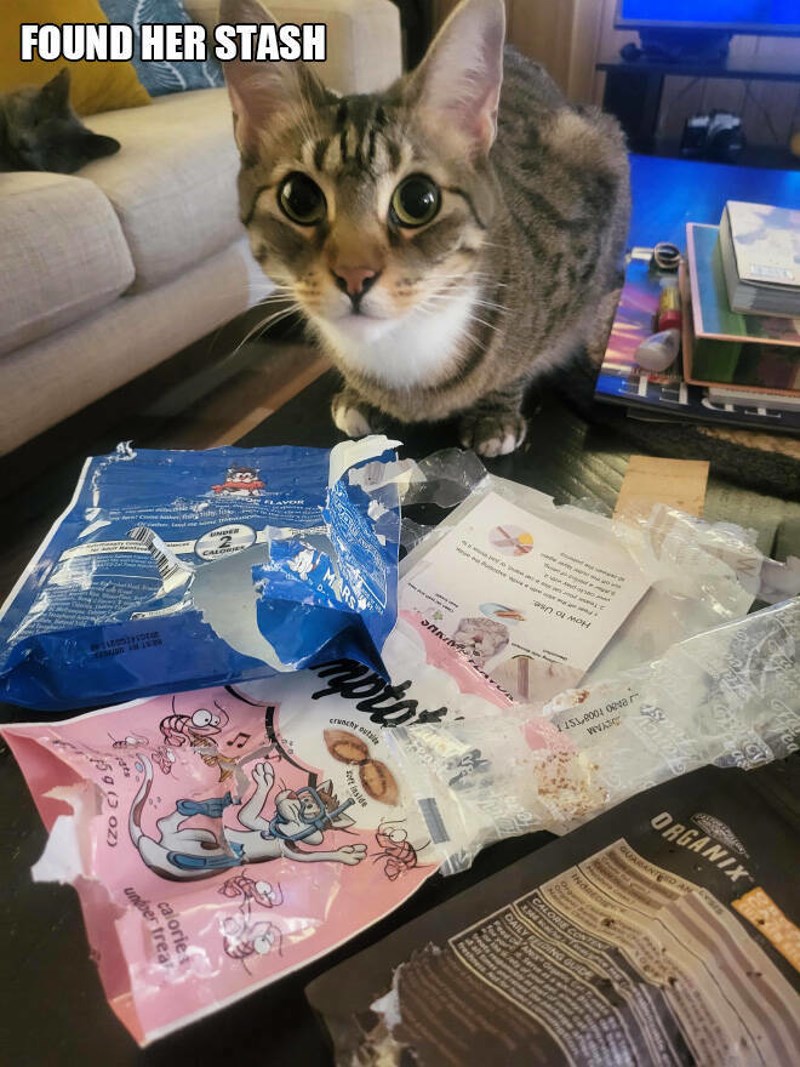 14. Njezina kolekcija je pronađena