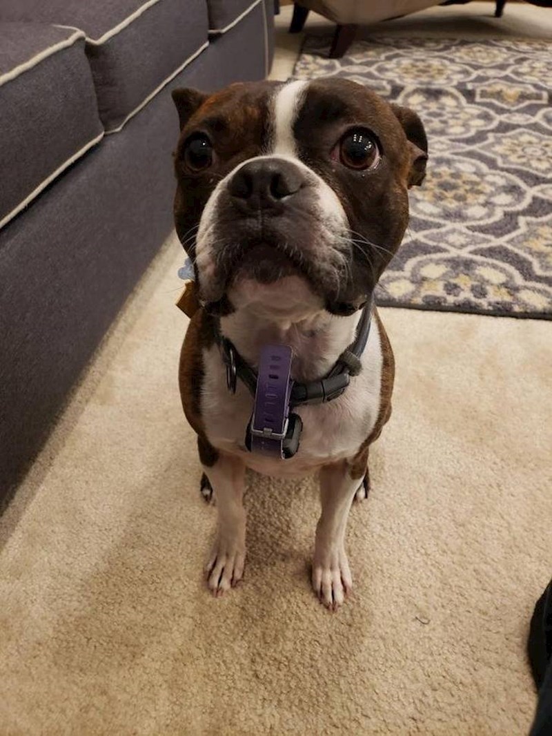 15. Žena se natječe s frendicama koja će napraviti više koraka u danu i otkrila je kako će pobijediti