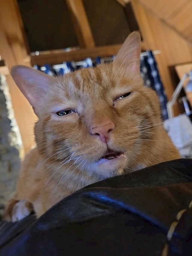 2.