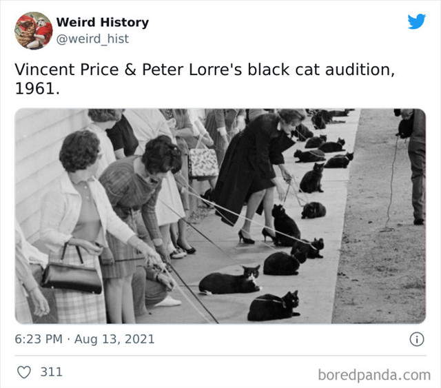 36. Audicija za crne mačke 1961.