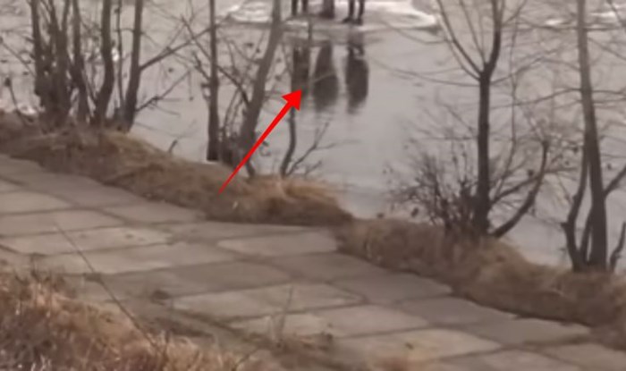 Prolaznik je šetao pored rijeke i uočio nešto bizarno kako plovi, snimka je obišla cijeli svijet